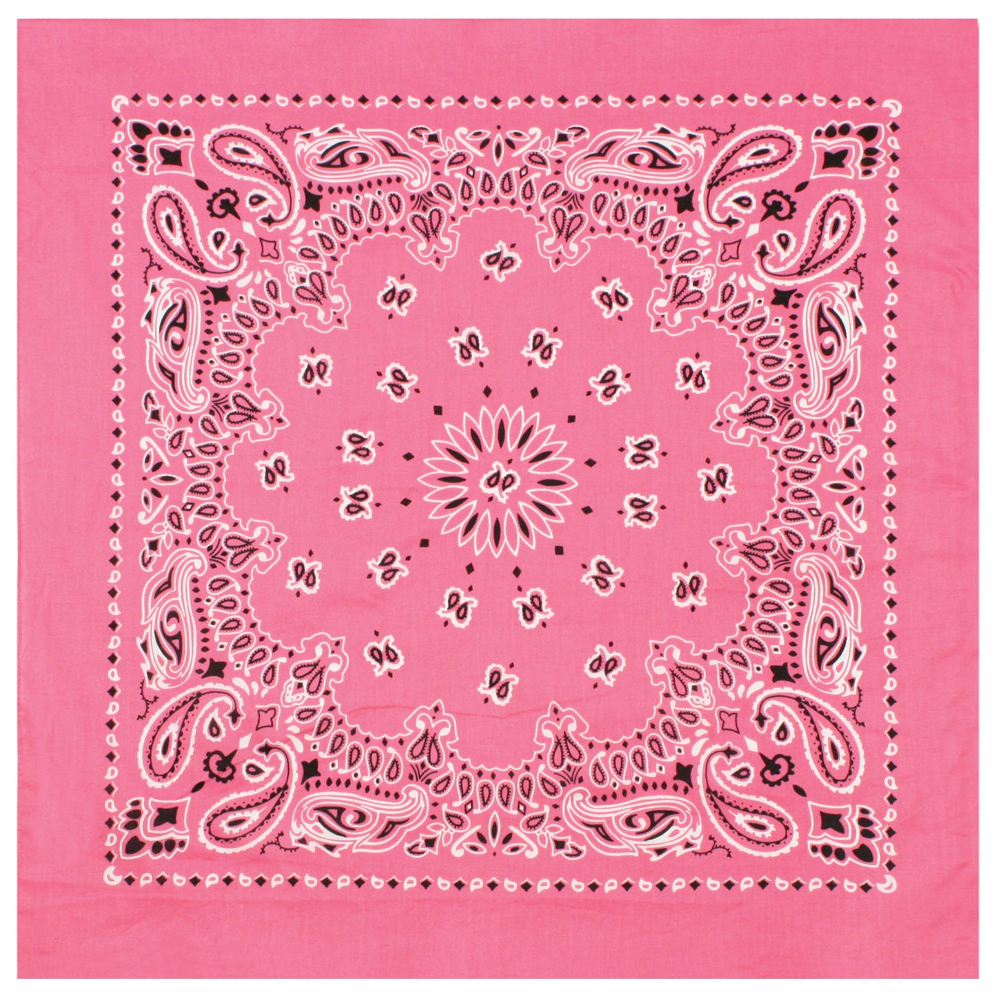 Trainmen Paisley Bandana - 22" X 22"