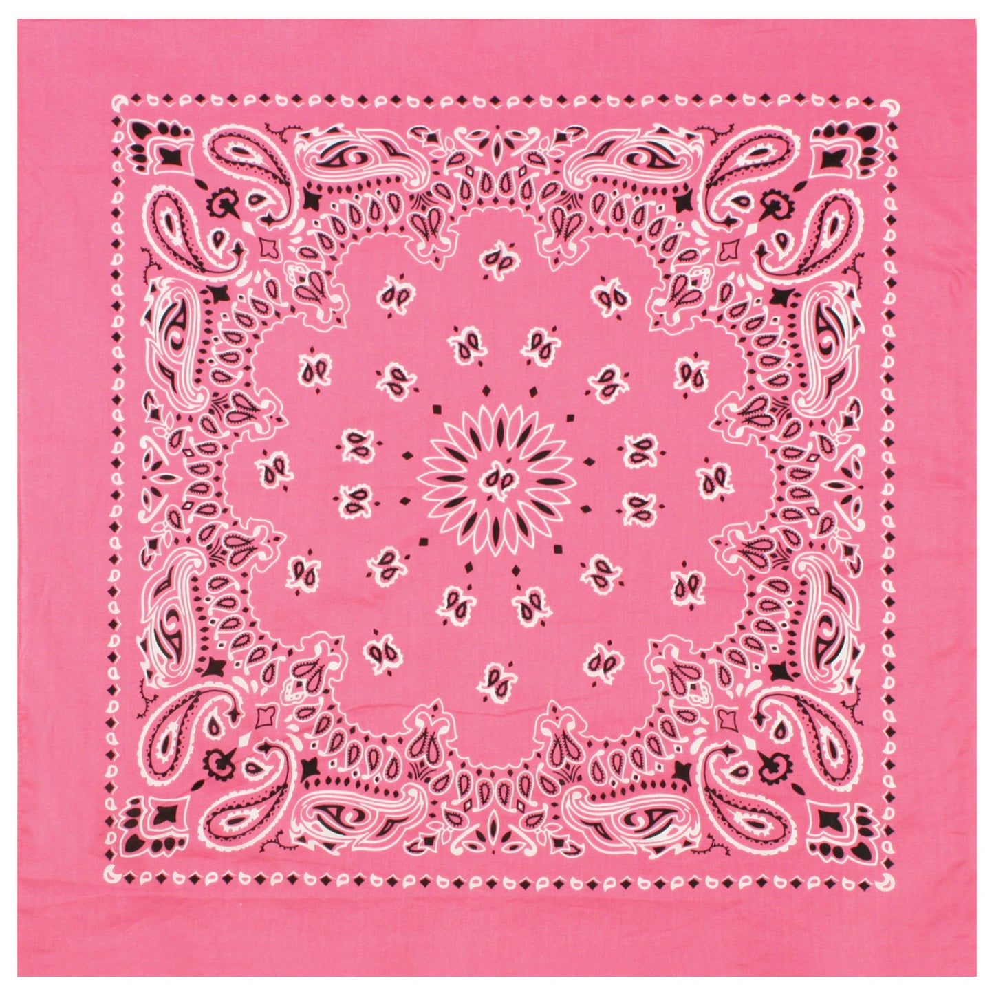 Trainmen Paisley Bandana - 22" X 22"