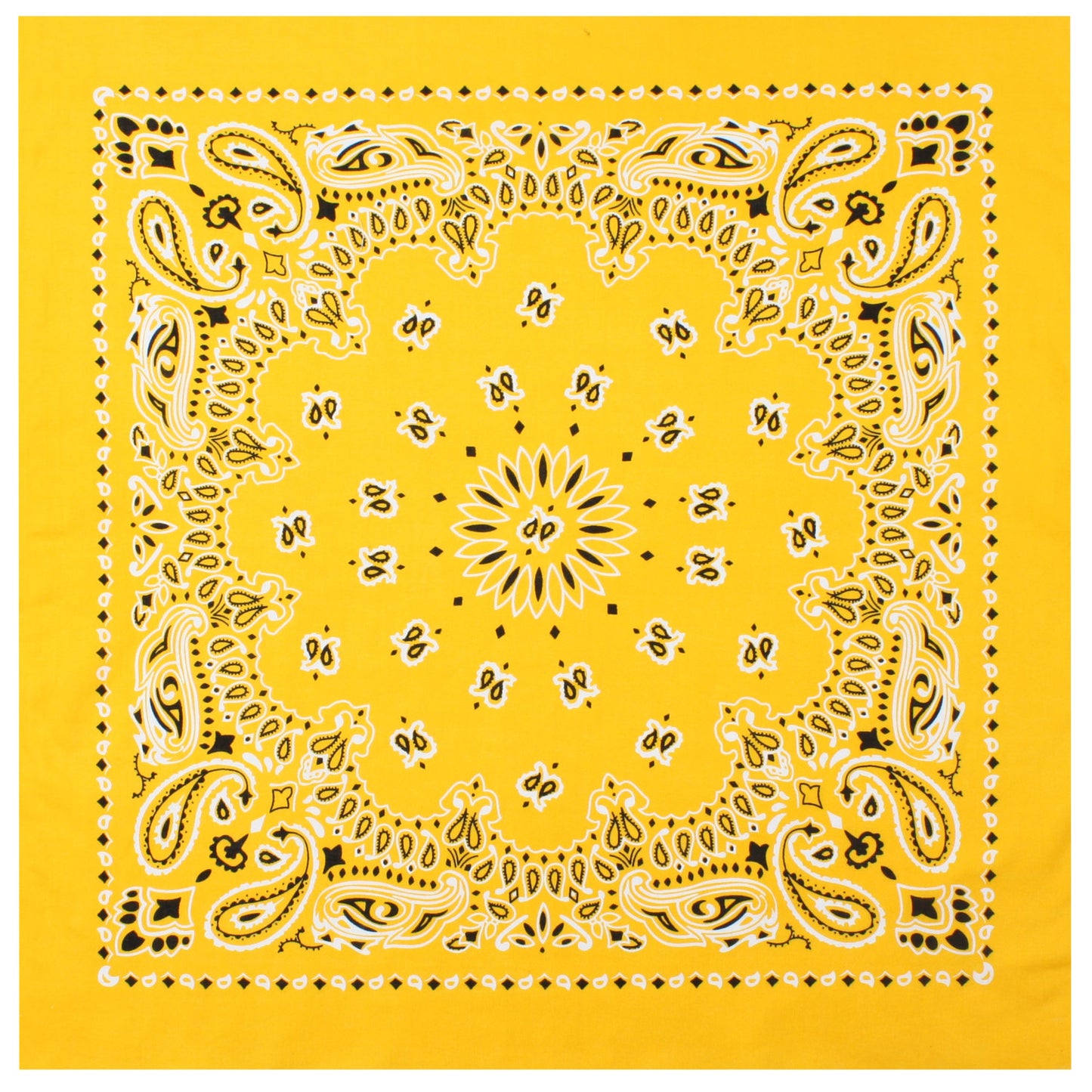 Trainmen Paisley Bandana - 22" X 22"